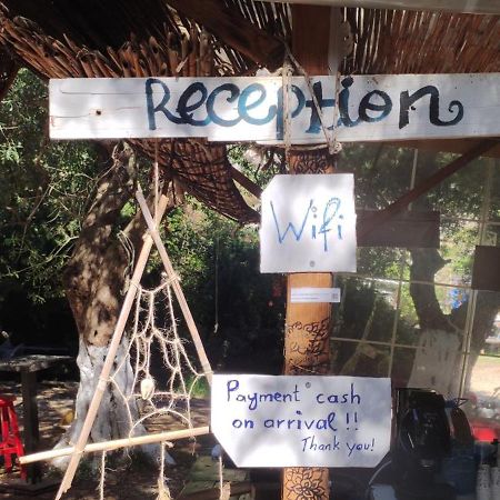 Gjipe Eco Campground Vuno エクステリア 写真