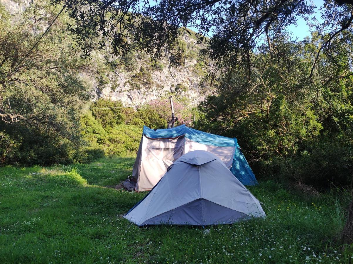 Gjipe Eco Campground Vuno エクステリア 写真