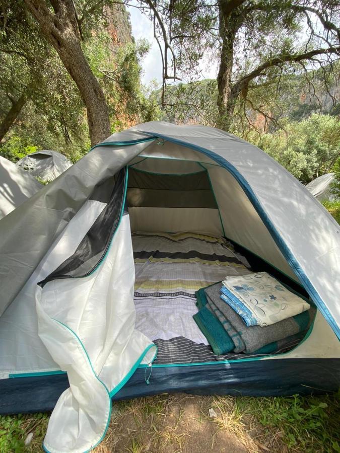 Gjipe Eco Campground Vuno エクステリア 写真
