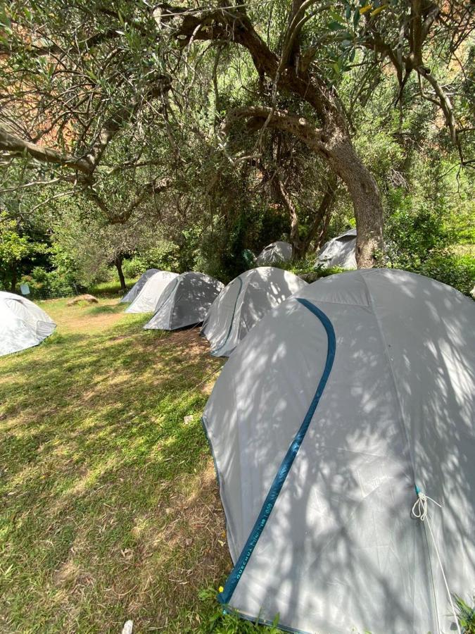 Gjipe Eco Campground Vuno エクステリア 写真